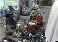 Two-year-old girl becomes latest avian influenza victim in Egypt