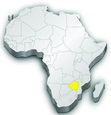 QX-like infectious bronchitis virus in Africa