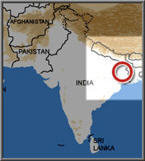 India: avian influenza confirmed in west Bengal