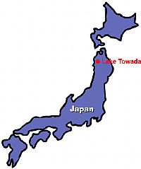 Japan detects avian influenza in four wild swans