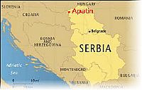 Serbia: H5 detected in swan