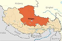 Nagqu: Avian Influenza found in wild dead birds