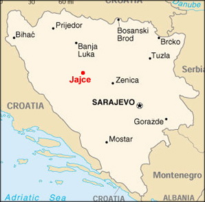 Bosnia says H5N1 avian influenza found in two wild swans