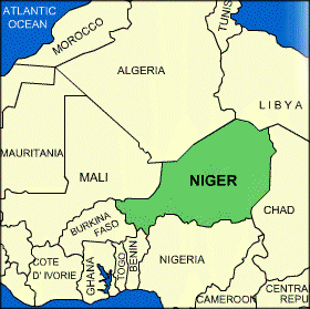 Avian influenza cases confirmed in Niger