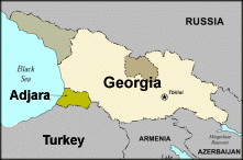 Avian influenza found in Georgia