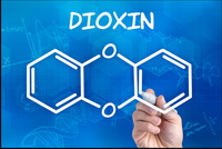European developments following incidents with dioxins and PCBs in the food and feed chain