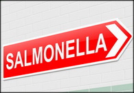 FSA: Two ongoing Salmonella outbreaks linked to frozen breaded chicken products