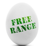 New Zealand: The free-range egg scam: 2.47m eggs really from caged hens