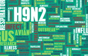 H9N2 in a chinese child