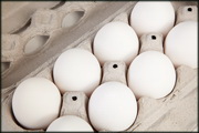 Israel: Egg Crates and Salmonella Threat