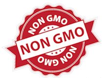 Germany: Supermarket giants demand GMO-Free fed Poultry