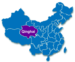 Death of migratory birds in Qinghai caused by avian influenza
