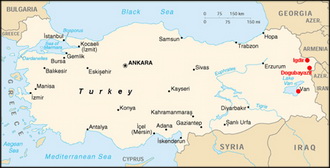 Turkey tests six people for avian influenza