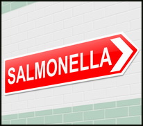 Denmark: Salmonella targets and surveillance in the poultry production 2020