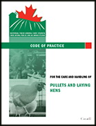 Canada: new Code of Practice for Egg Production