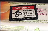 Activist organisation places stickers on egg cartons in-store