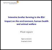 Report: the intensive chicken production threatens public health