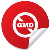 Illegal GM bacteria detected in an animal feed supplement