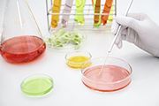 Bacteriology