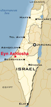 Israel, suspected case of avian influenza in a turkey farm