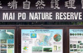 Hong Kong: Mai Po closes on likely avian influenza case