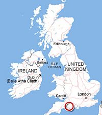 Avian influenza virus found in three dead swans in Dorset