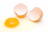 Australia: Raw eggs linked to salmonella outbreak