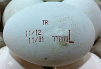 Israel to import 30 million eggs from Turkey