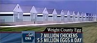 Shell eggs recalled from Wright County Egg