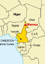 Cameroon records first case of avian influenza