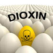 The Netherlands: Dioxin found in organic eggs