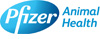 Pfizer considers selling animal health business