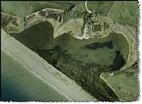 UK: H5N1 in tenth swan in Dorset