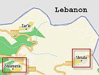 More cases of Newcastle disease in Israel