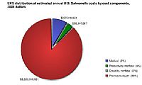 US: Foodborne Illness Cost Calculator- Salmonella