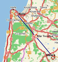 Israel: outbreak of Newcastle disease in broilers