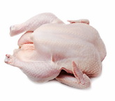Study: Organic chicken are far more often contaminated with Campylobacter