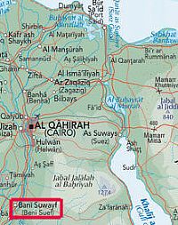 Egypt reports 19th human avian influenza case