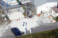 Japan culls 23,000 chickens to contain avian influenza