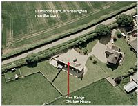 Avian Influenza H7N7 confirmed in Oxfordshire