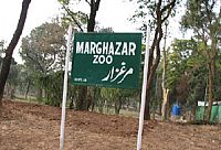 Pakistan: Avian influenza outbreak in Pakistan zoo