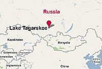 Mass Bird Mortality in Krasnoyarsk