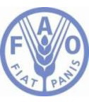 FAO: Poultry production and trade on the rise