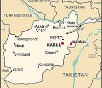 First case of avian influenza detected in Afghanistan