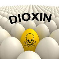 Dioxin found in German eggs