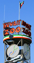 Avian influenza was detected in Kuwait