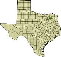 Avian Influenza (H7N3) Detected in Hopkins County - Texas