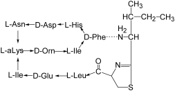 bacitracin