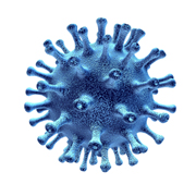 Virus1