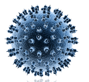 Virus2